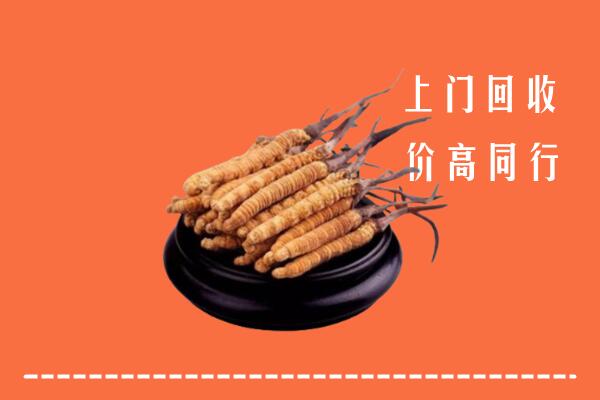 高价求购：宁德回收散虫草