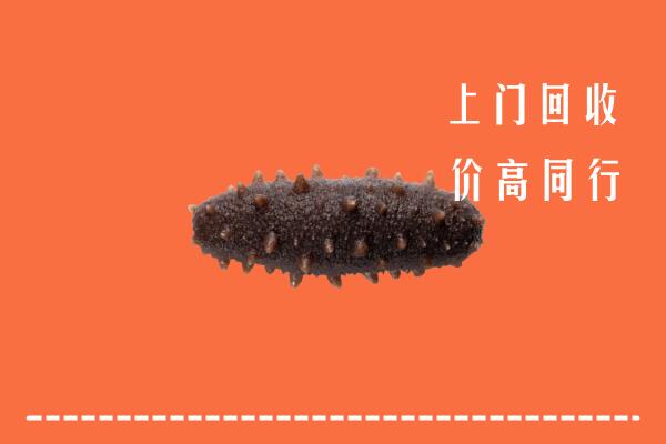 高价求购：宁德回收海参